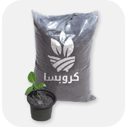 بذور زراعية