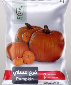 بذور قرع عسلي من زين سيدز - 15 بذره
