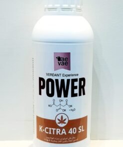 كي سيترا 40 اس ال