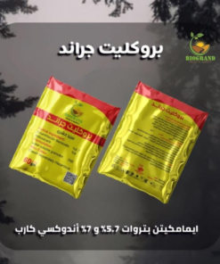 ‫بروكليت جراند