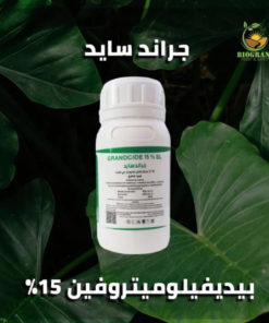 ‫جراند سايد