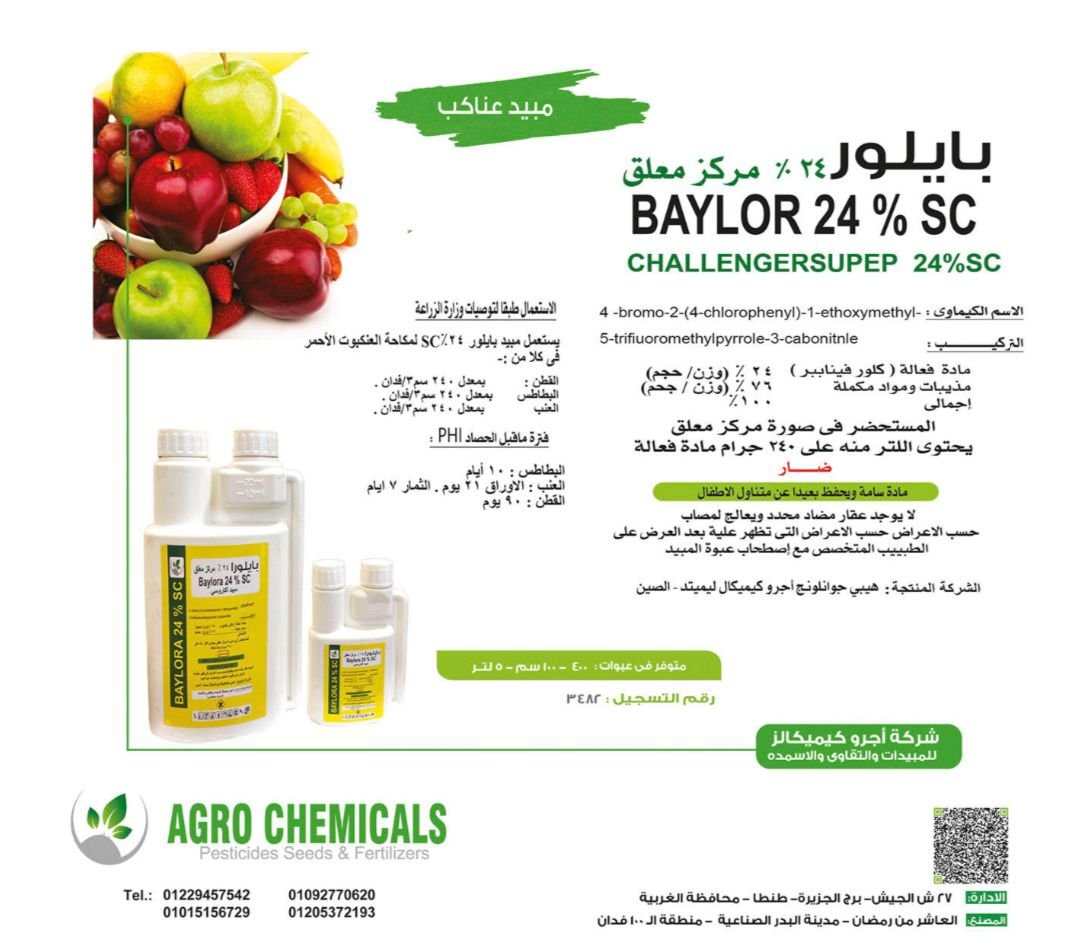 WhatsApp Image 2025-12-15 at 1.24.32 PM