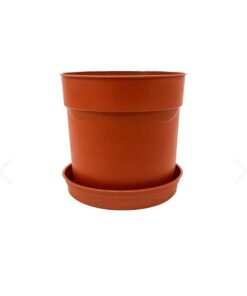 أصيص بني 12 سم