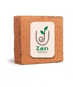 قالب بيتموس كبير